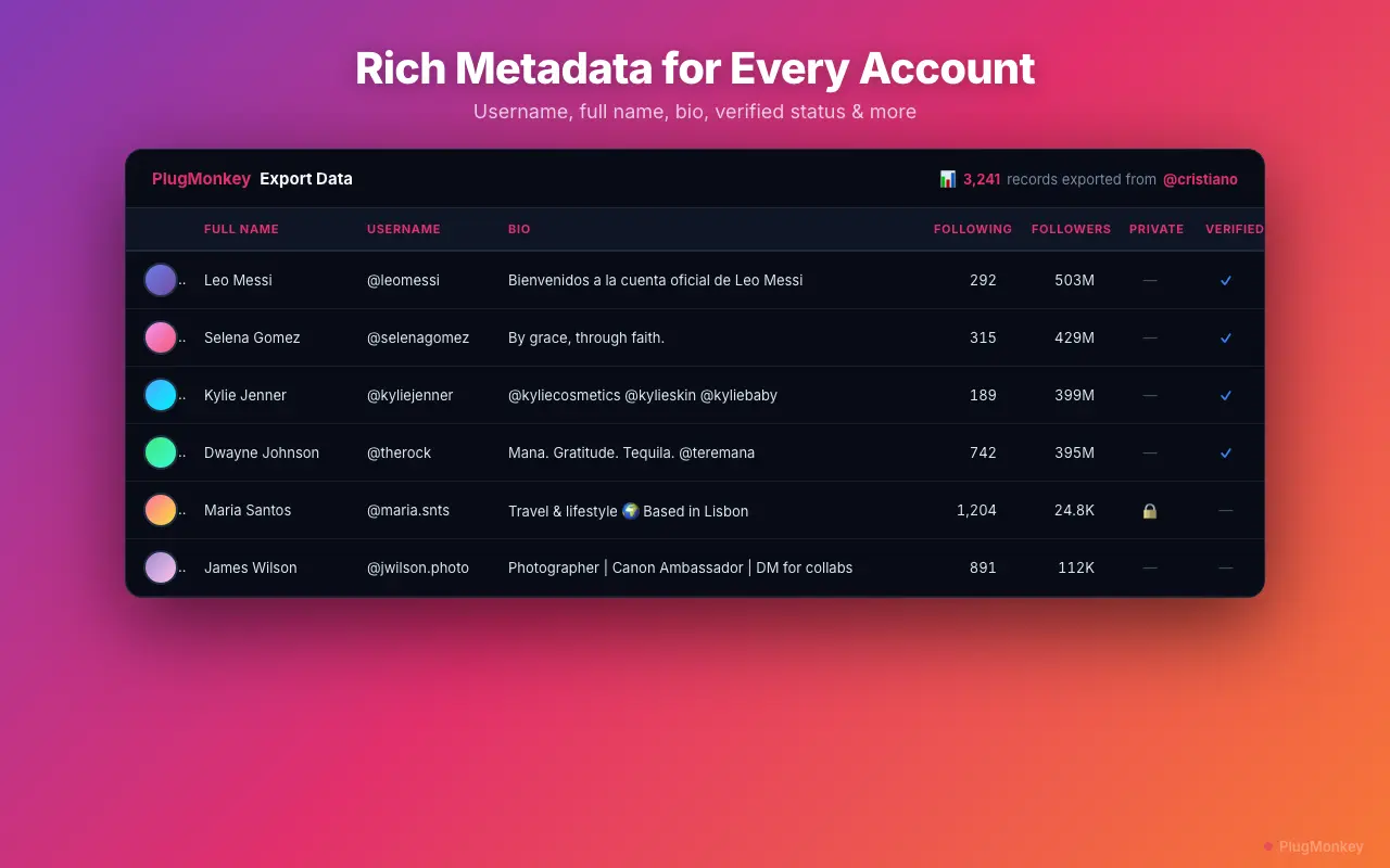 Followers Exporter Pro for Instagram's export table with username, bio, follower counts, and verified status